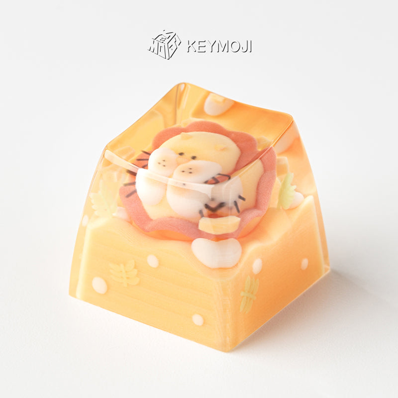 Starry Candy Bundle